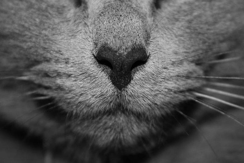 ねこ暮らしサポート株式会社 14